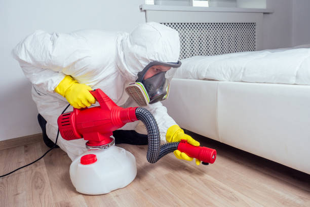 Best Residential Pest Control  in Rancho Palos Verdes, CA